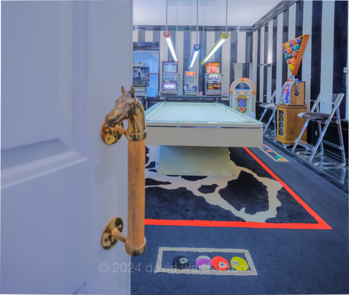 204-500NGREENBAYLAKEFORESTSHOWCASE