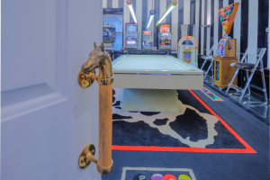 204-500NGREENBAYLAKEFORESTSHOWCASE